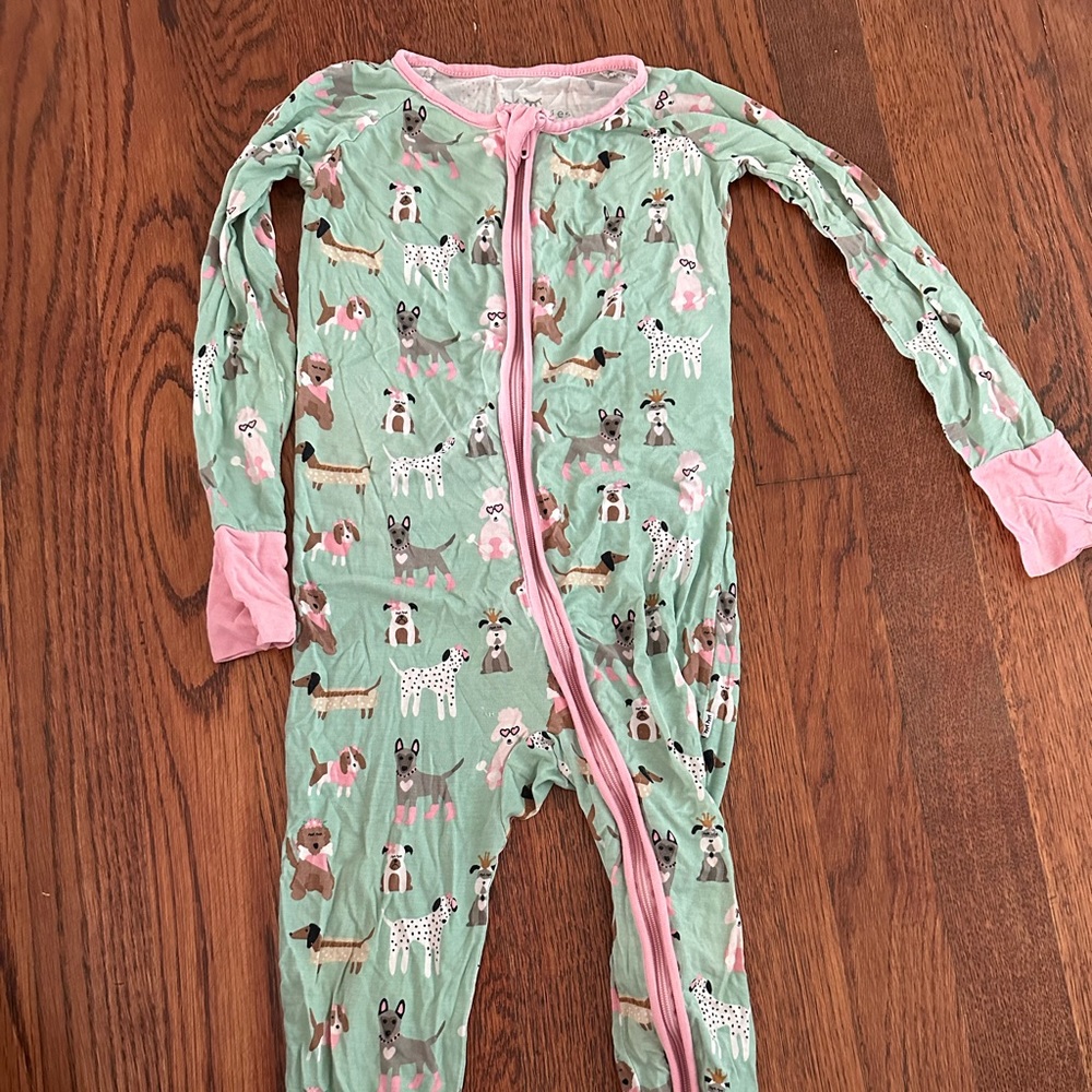 LITTLE SLEEPIES Aqua Puppies 2T Zippies